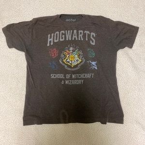 Harry Potter Hogwarts T shirt- brown/gray color